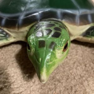 Meet your Posher, Hector